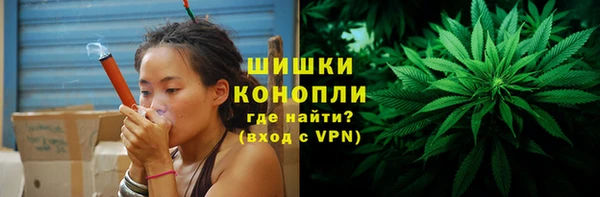 дмт Осташков