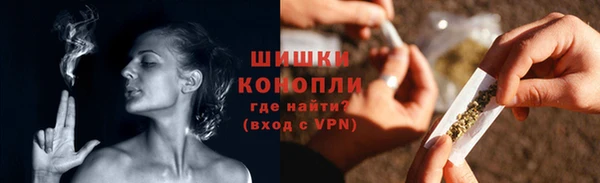 дмт Осташков