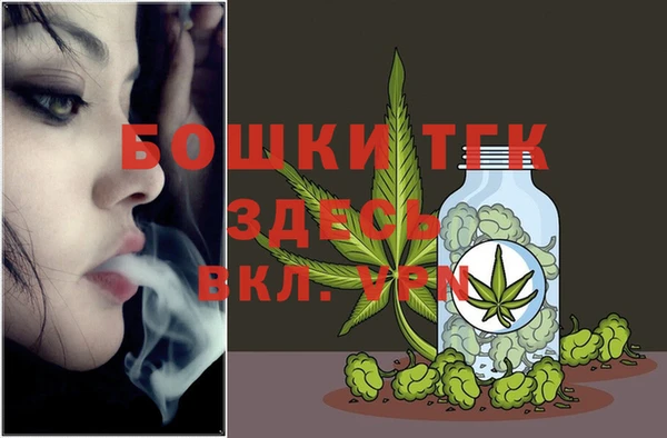 дмт Осташков