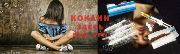 дмт Осташков