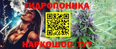 скорость Дубна