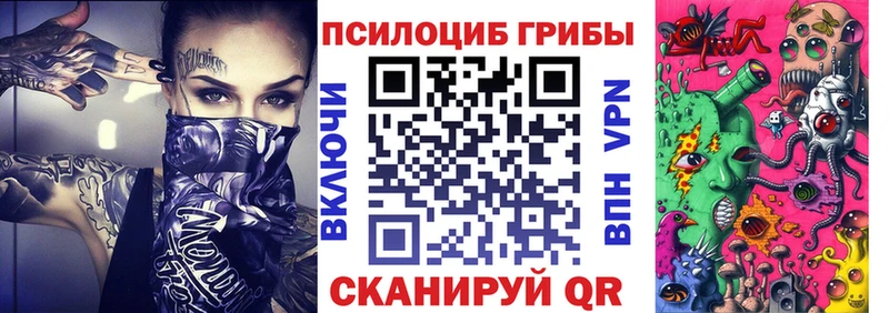 продажа наркотиков Фрязино Псилоцибиновые грибы мицелий