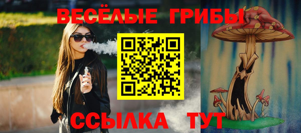 Галлюциногенные грибы Magic Shrooms  закладка  Фрязино  Вход с VPN 