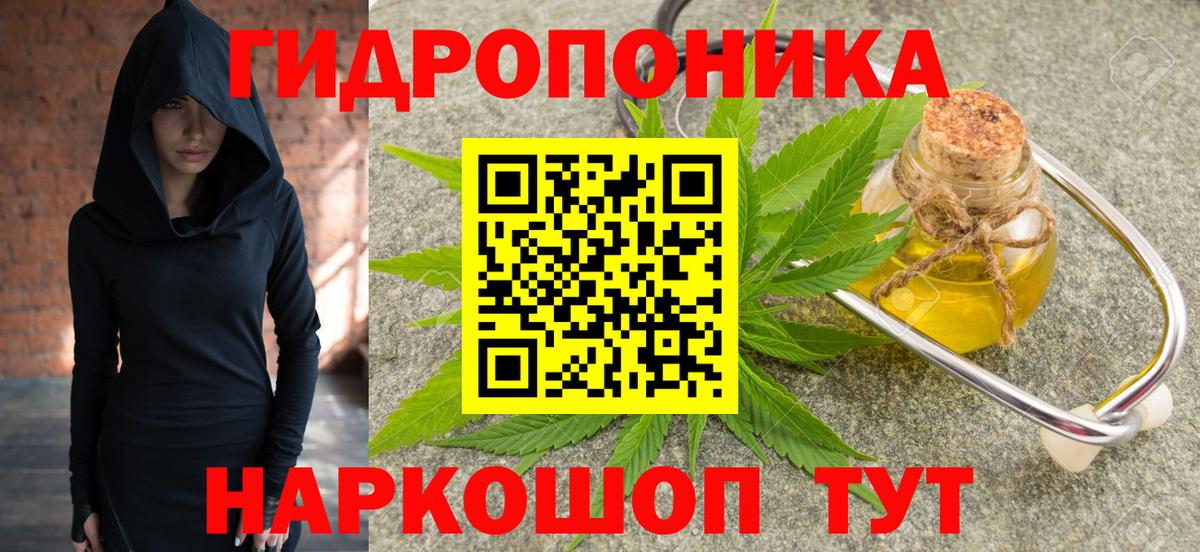 Шишки марихуана марихуана Фрязино